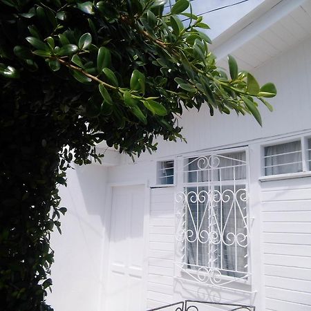 Hotel Bight View San Andrés Exterior foto